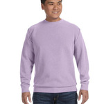 Adult Crewneck Sweatshirt