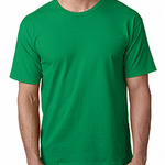 Adult 5.4 oz., 100% Cotton T-Shirt