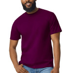 Softstyle ® Midweight Tee