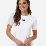 Women's Pregame T-Shirt