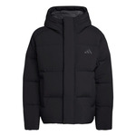 Men's Helonic Down Puffer Hooded Jacket