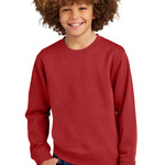 Youth V.I.T. Fleece Crew